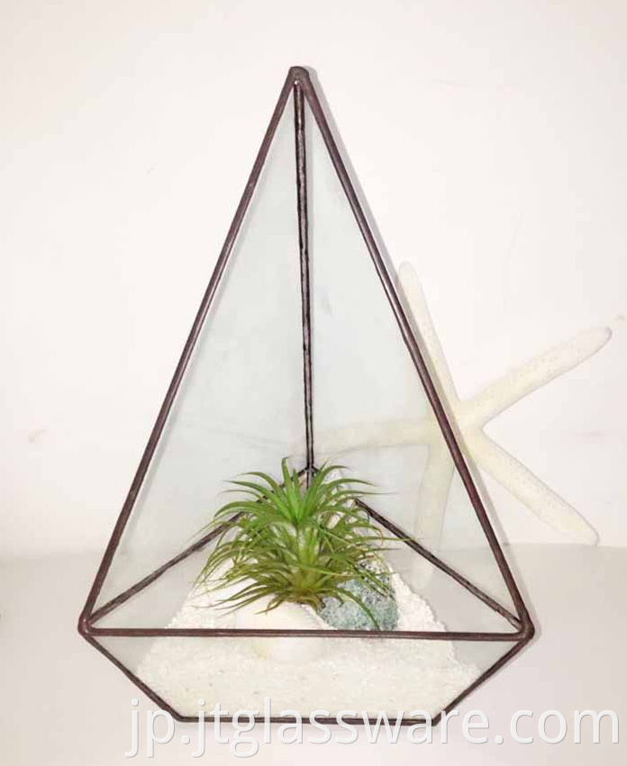 Square Glass Plant Terrarium2